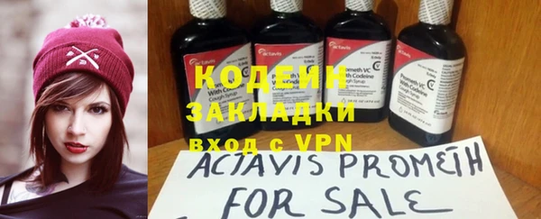 гашик Богданович