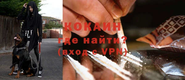 гашик Богданович