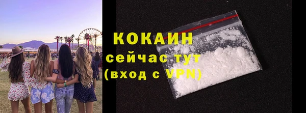 прущий лед Богородицк