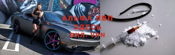 гашик Богданович