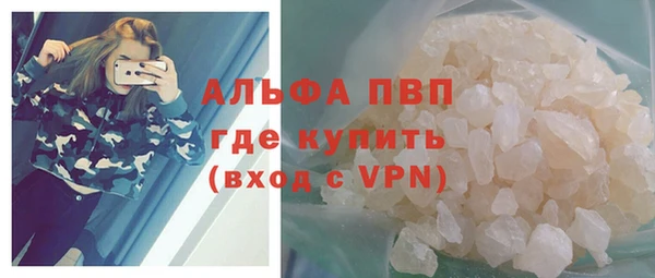 шишки Беломорск