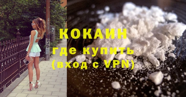 шишки Беломорск