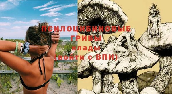 прущий лед Богородицк